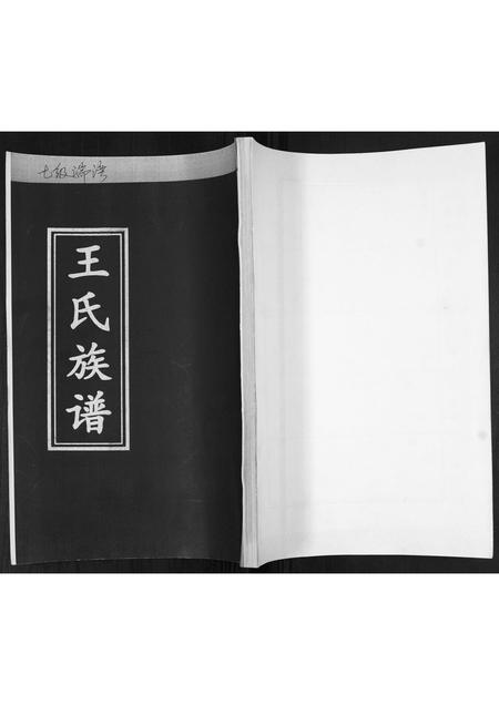 山东王氏-王氏族谱.pdf电子版