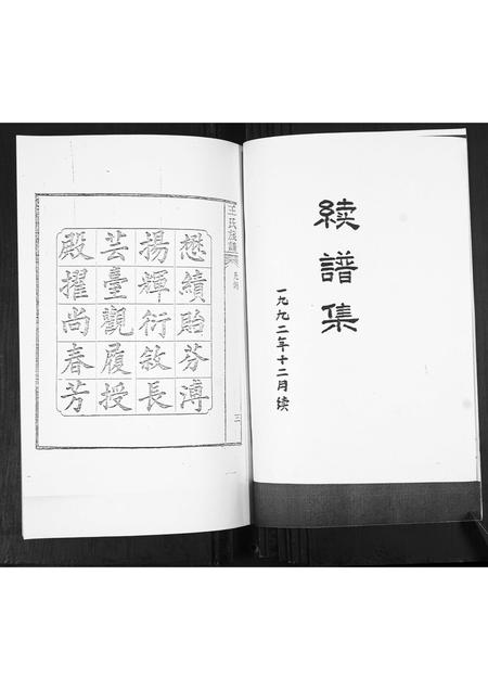 山东王氏-王氏族谱.pdf电子版插图1 山东王氏-王氏族谱.pdf电子版插图1