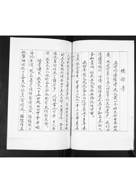 山东王氏-王氏族谱.pdf电子版插图2 山东王氏-王氏族谱.pdf电子版插图2
