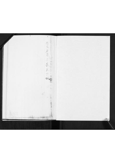 山东王氏-王氏族谱.pdf电子版插图1