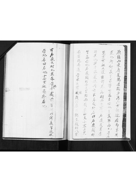 山东王氏-王氏族谱.pdf电子版插图2