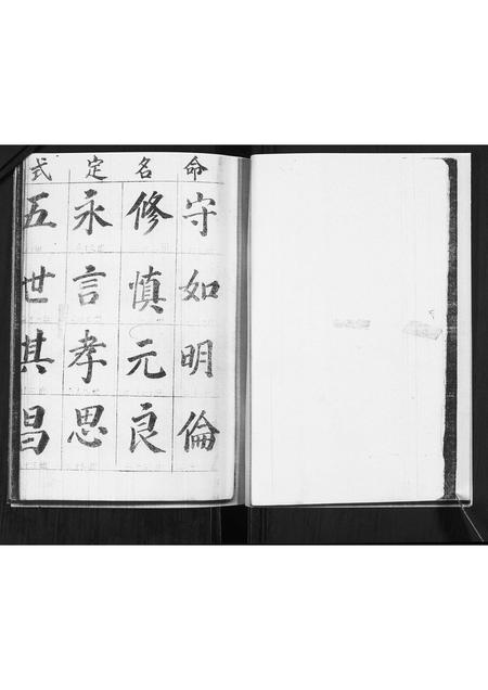 山东王氏-王氏族谱.pdf电子版插图3