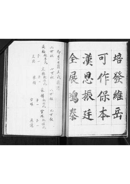 山东王氏-王氏族谱.pdf电子版插图5