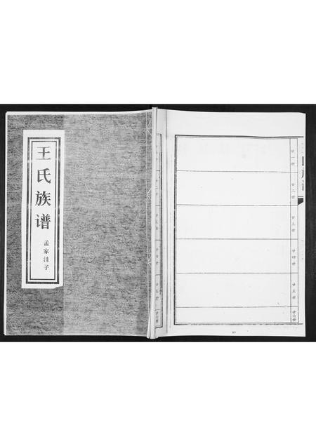 山东王氏-王氏族谱.pdf电子版插图 山东王氏-王氏族谱.pdf电子版插图