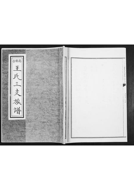 山东王氏-王氏族谱.pdf电子版