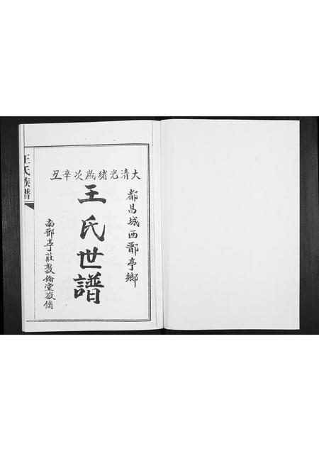 山东王氏-王氏族谱.pdf电子版插图1