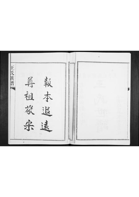 山东王氏-王氏族谱.pdf电子版插图2