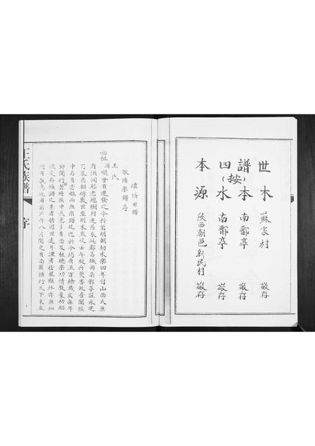 山东王氏-王氏族谱.pdf电子版插图3