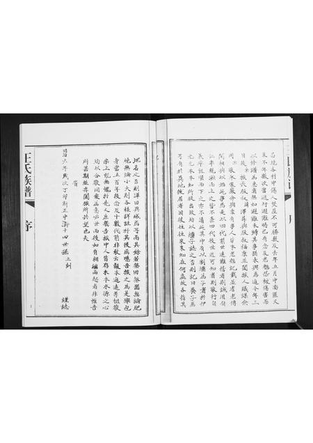 山东王氏-王氏族谱.pdf电子版插图4