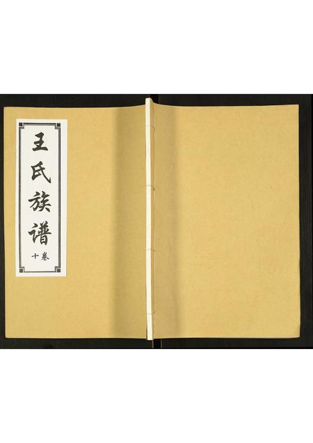 山东王氏-王氏族谱.pdf电子版插图 山东王氏-王氏族谱.pdf电子版插图