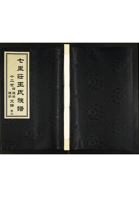 山东王氏-王氏族谱.pdf电子版