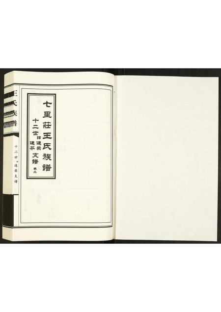 山东王氏-王氏族谱.pdf电子版插图1