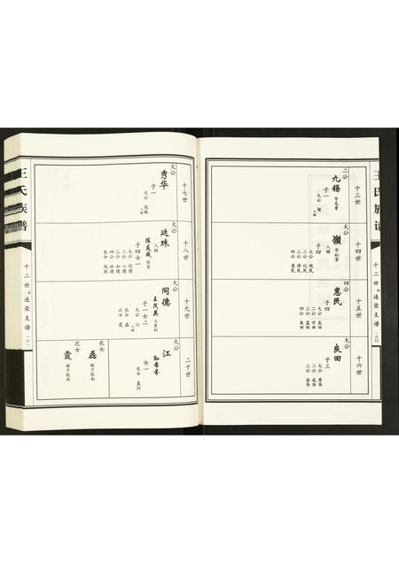 山东王氏-王氏族谱.pdf电子版插图2