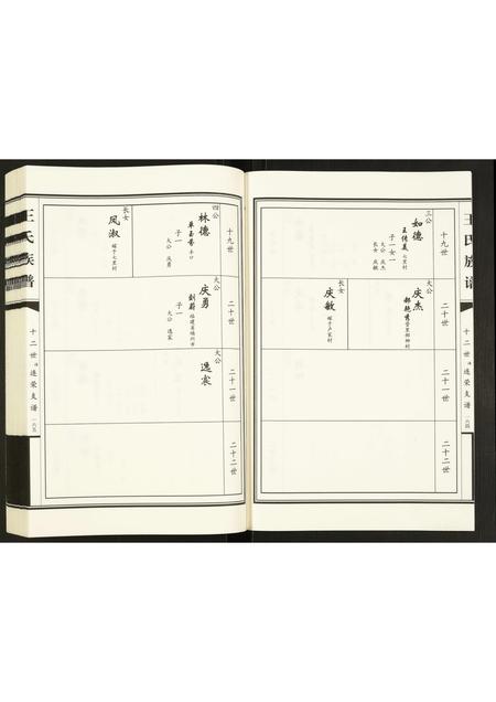 山东王氏-王氏族谱.pdf电子版插图4