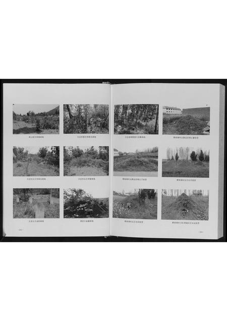 山东王氏-王氏族谱.pdf电子版插图5 山东王氏-王氏族谱.pdf电子版插图5