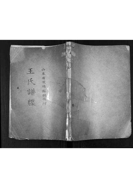 山东王氏-王氏族谱.pdf电子版插图 山东王氏-王氏族谱.pdf电子版插图