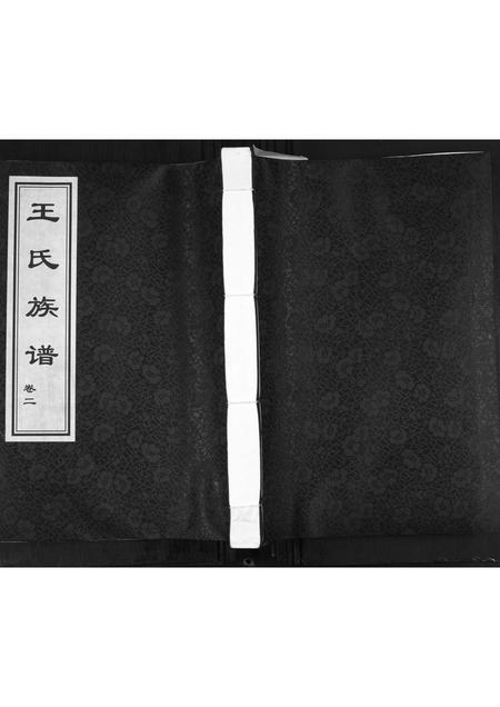 山东王氏-王氏族谱[2卷].pdf电子版