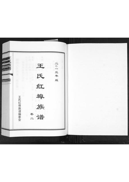 山东王氏-王氏族谱[2卷].pdf电子版插图1