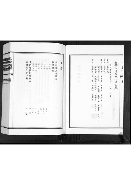 山东王氏-王氏族谱[2卷].pdf电子版插图2