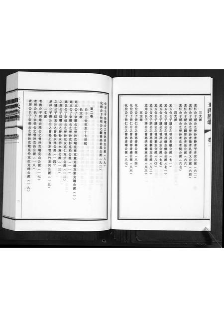 山东王氏-王氏族谱[2卷].pdf电子版插图4