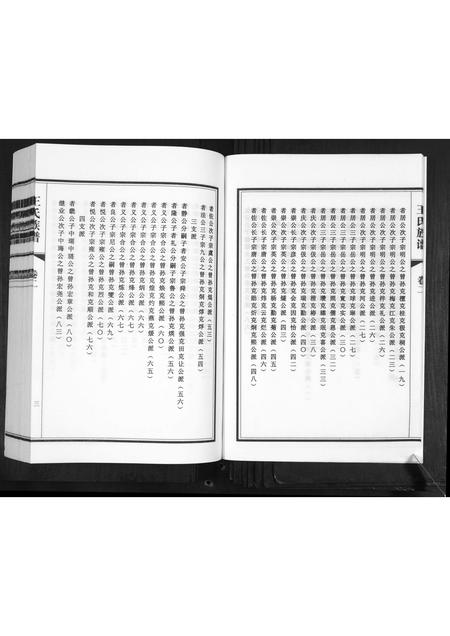 山东王氏-王氏族谱[2卷].pdf电子版插图5