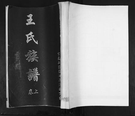 山东王氏-王氏族谱[2卷].pdf电子版