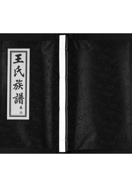 山东王氏-王氏族谱[2卷].pdf电子版