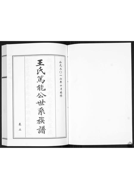 山东王氏-王氏族谱[2卷].pdf电子版插图1