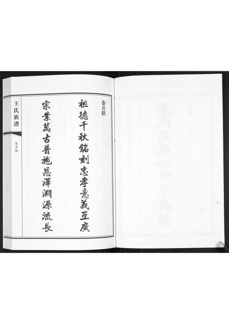 山东王氏-王氏族谱[2卷].pdf电子版插图2