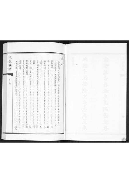 山东王氏-王氏族谱[2卷].pdf电子版插图3