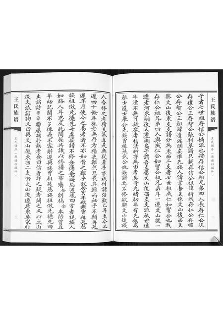 山东王氏-王氏族谱[2卷].pdf电子版插图5