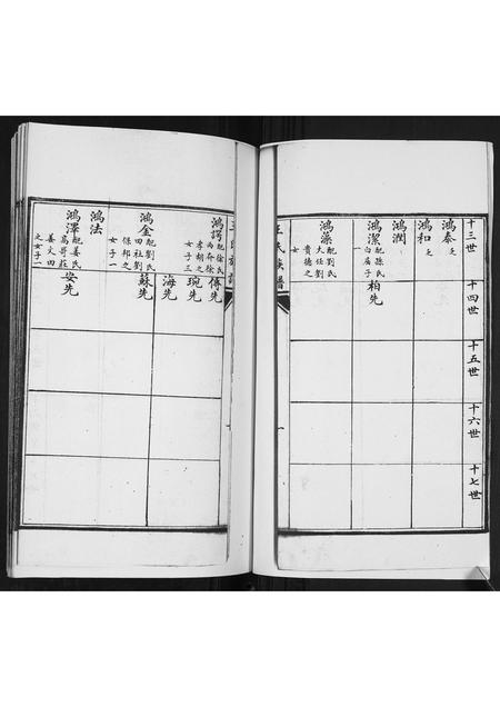 山东王氏-王氏族谱[2卷].pdf电子版插图1