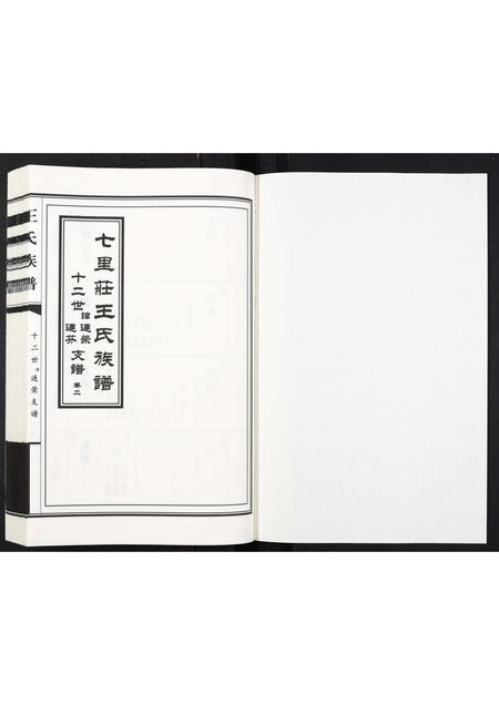 山东王氏-王氏族谱[2卷].pdf电子版插图1