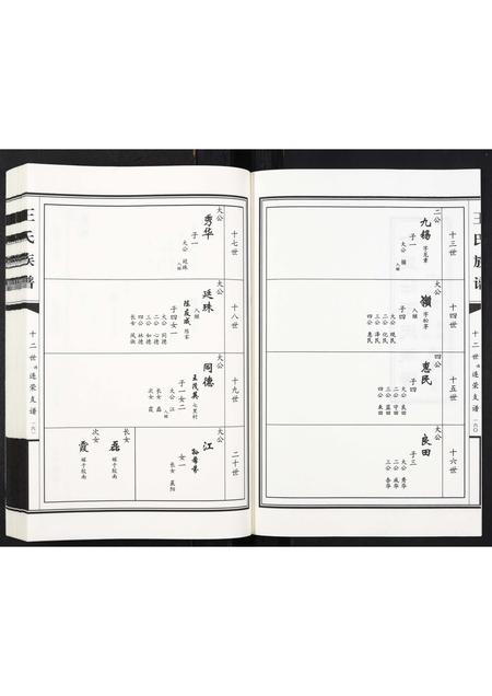 山东王氏-王氏族谱[2卷].pdf电子版插图2