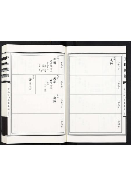 山东王氏-王氏族谱[2卷].pdf电子版插图3