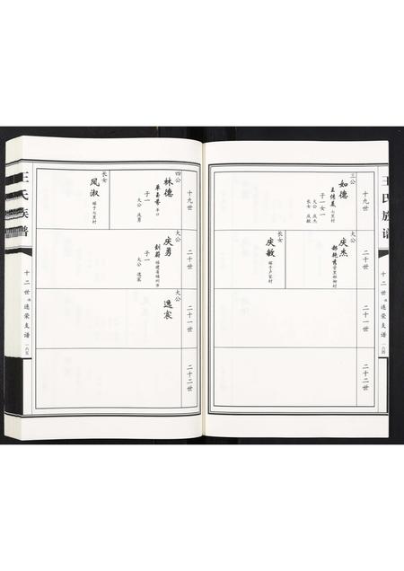 山东王氏-王氏族谱[2卷].pdf电子版插图4