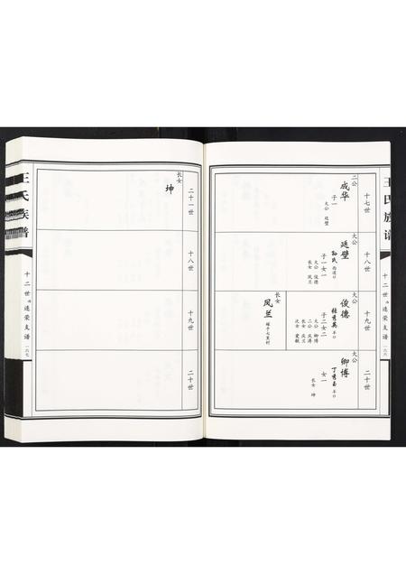 山东王氏-王氏族谱[2卷].pdf电子版插图5