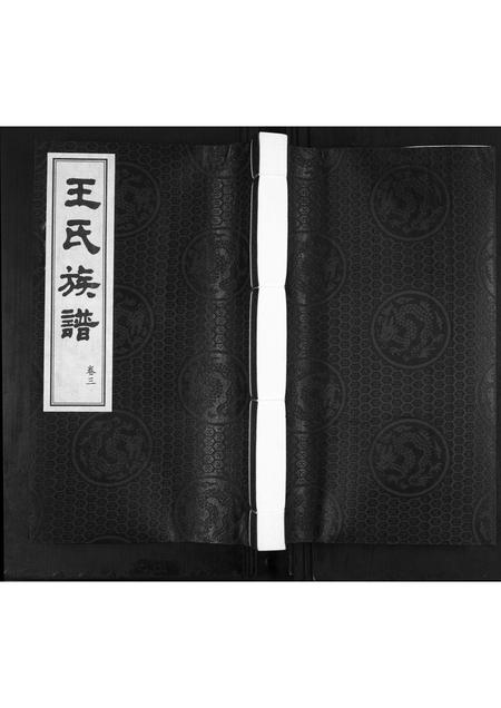 山东王氏-王氏族谱[3卷].pdf电子版