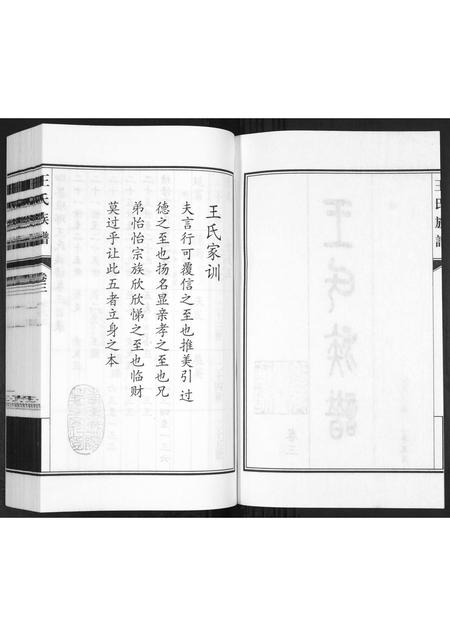 山东王氏-王氏族谱[3卷].pdf电子版插图1