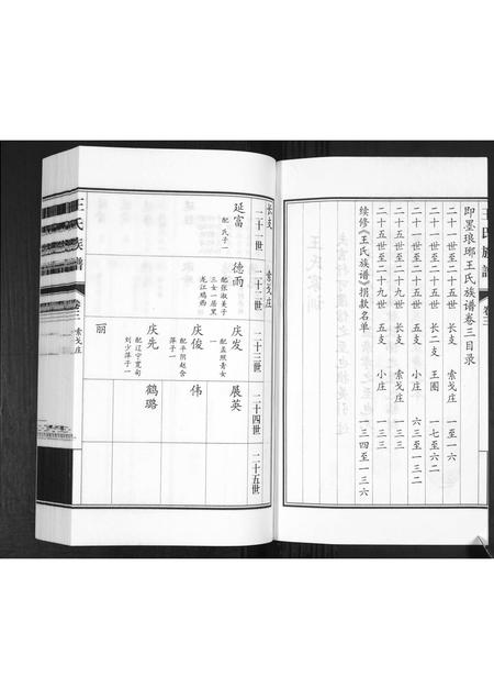 山东王氏-王氏族谱[3卷].pdf电子版插图2