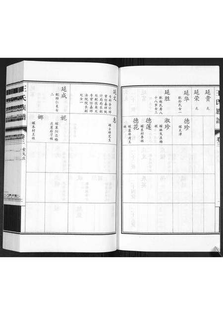 山东王氏-王氏族谱[3卷].pdf电子版插图3