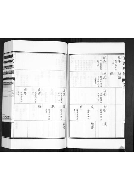 山东王氏-王氏族谱[3卷].pdf电子版插图4