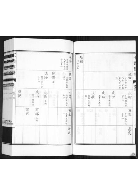 山东王氏-王氏族谱[3卷].pdf电子版插图5