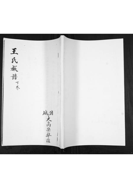 山东王氏-王氏族谱[3卷].pdf电子版