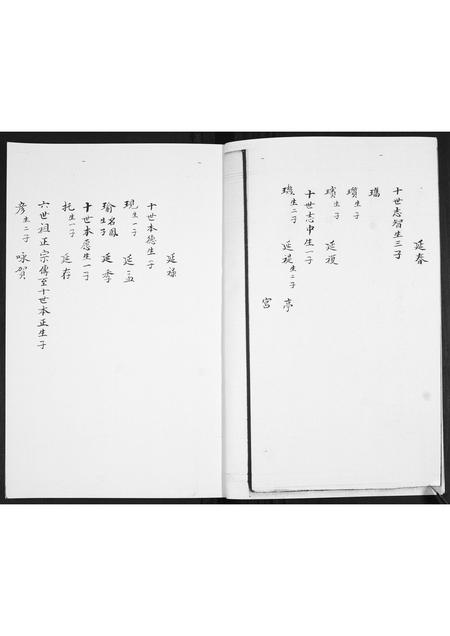 山东王氏-王氏族谱[3卷].pdf电子版插图3