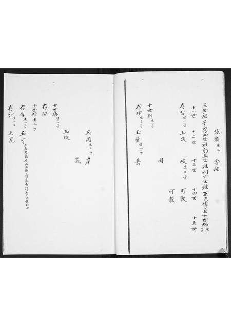 山东王氏-王氏族谱[3卷].pdf电子版插图4