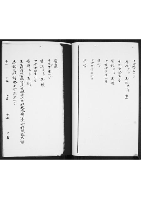 山东王氏-王氏族谱[3卷].pdf电子版插图5