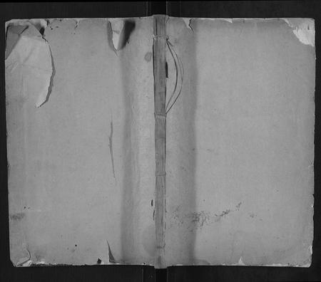 山东王氏-王氏族谱[40卷].pdf电子版