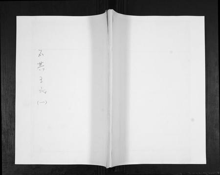 山东王氏-王氏族谱[4卷].pdf电子版