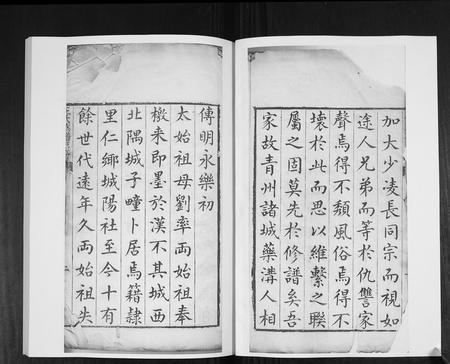 山东王氏-王氏族谱[4卷].pdf电子版插图1